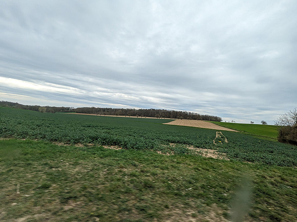 PXL_20240322_151532702