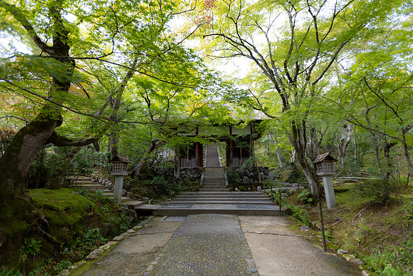 2026JapanTrip-222