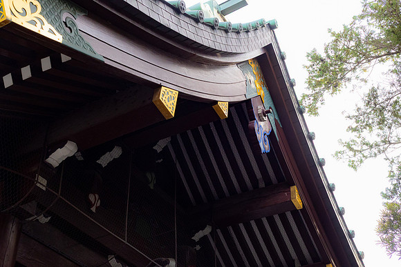 2026JapanTrip-60