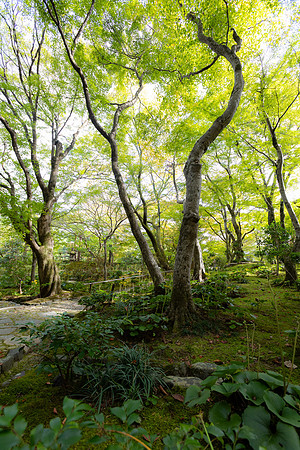 2026JapanTrip-248