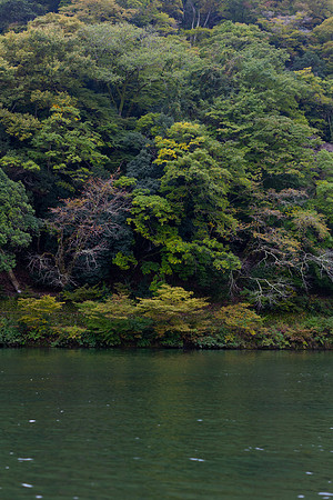 2026JapanTrip-326