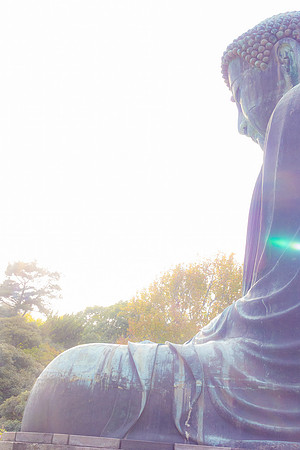2026JapanTrip-57