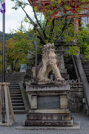 2026JapanTrip-271