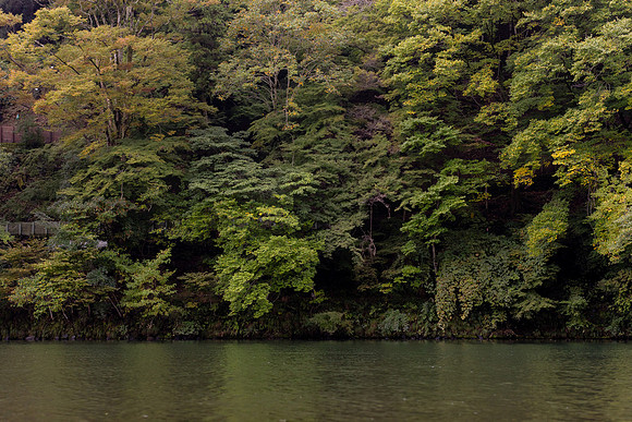 2026JapanTrip-339