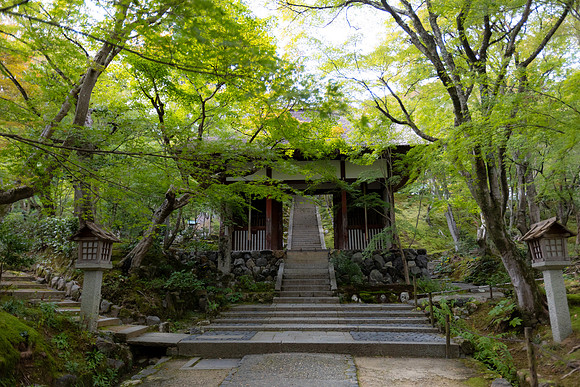 2026JapanTrip-224