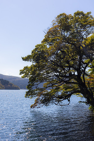 2026JapanTrip-3