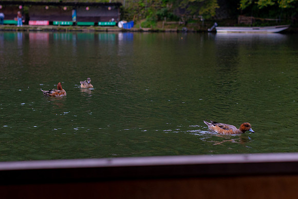 2026JapanTrip-360