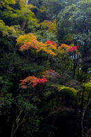 2026JapanTrip-358