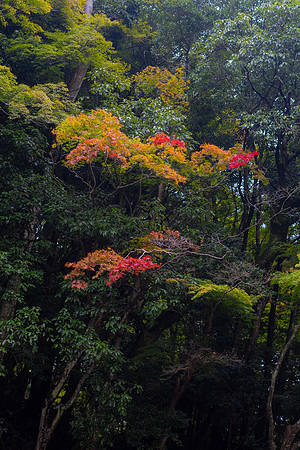 2026JapanTrip-358