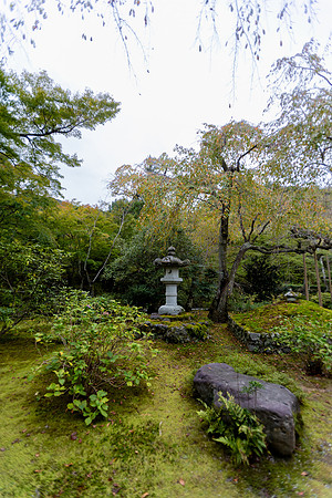 2026JapanTrip-263