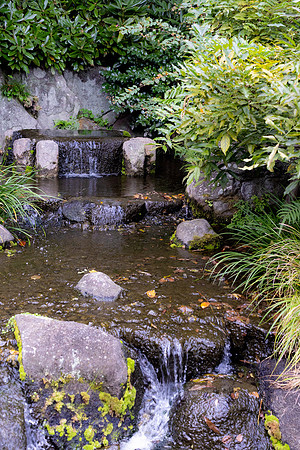 2026JapanTrip-67