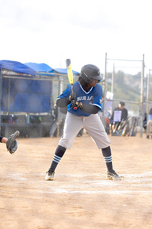 BlueJaysBaseball-44