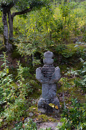 2026JapanTrip-234