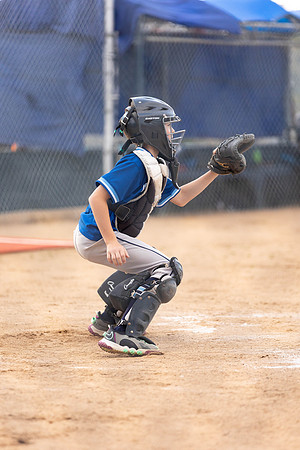 BlueJaysBaseball-47
