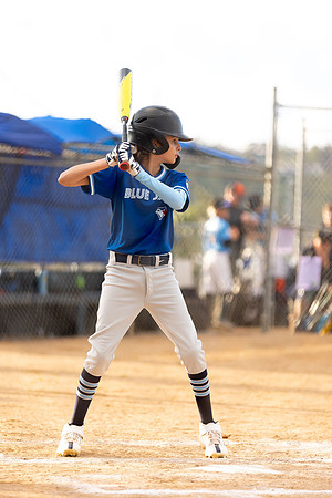 BlueJaysBaseball-3