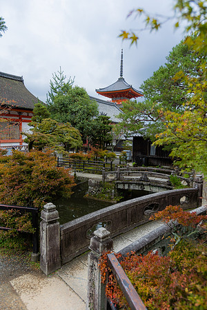 2026JapanTrip-286