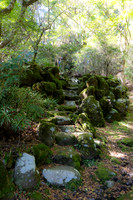 2026JapanTrip-11