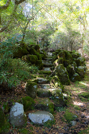 2026JapanTrip-11