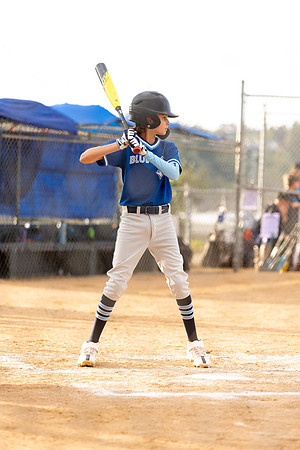 BlueJaysBaseball-5