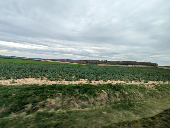 PXL_20240322_151509420