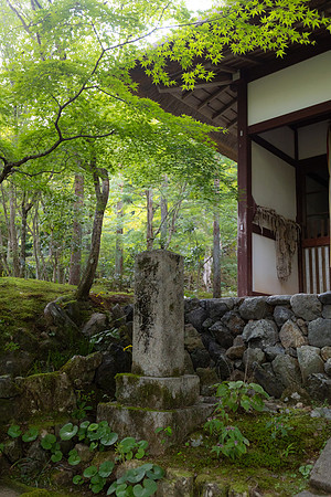 2026JapanTrip-230