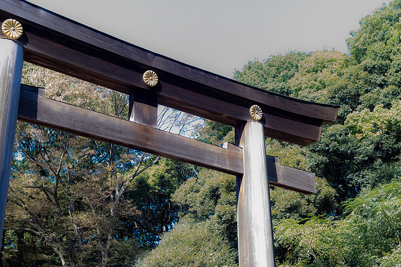 2026JapanTrip-203