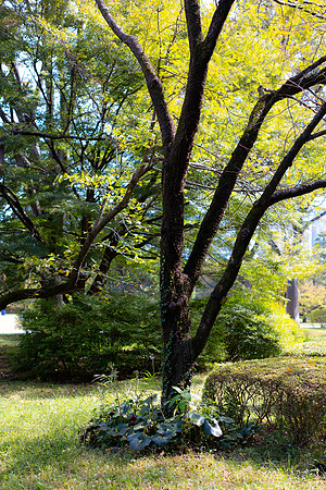 2026JapanTrip-97