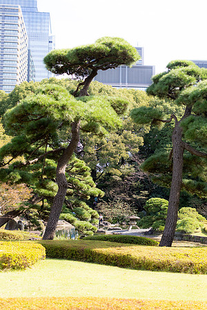 2026JapanTrip-114
