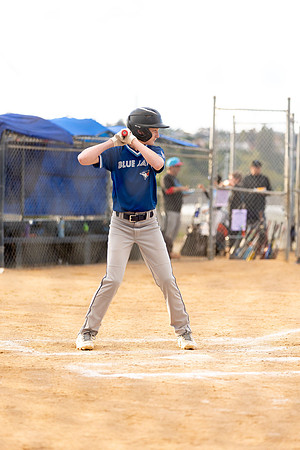 BlueJaysBaseball-13