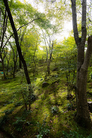 2026JapanTrip-246