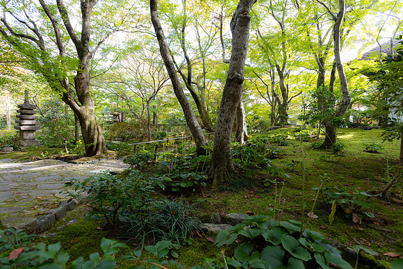 2026JapanTrip-247