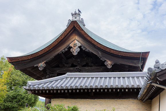 2026JapanTrip-267