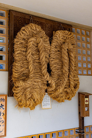 2026JapanTrip-55