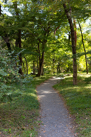2026JapanTrip-113