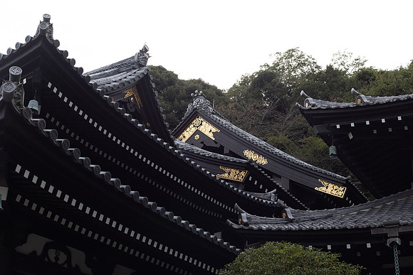 2026JapanTrip-72