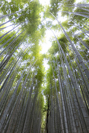 2026JapanTrip-250