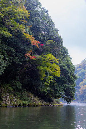 2026JapanTrip-357