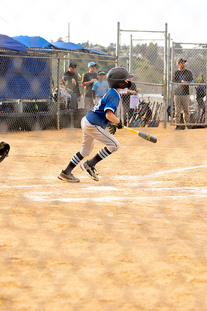 BlueJaysBaseball-19