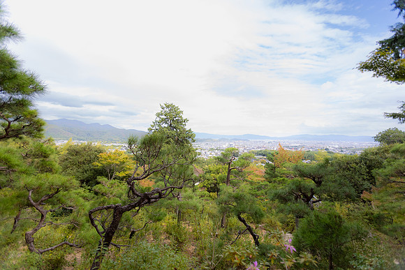 2026JapanTrip-235
