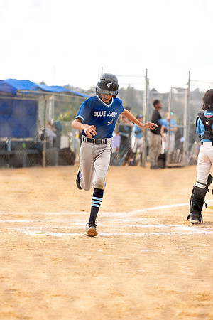 BlueJaysBaseball-12