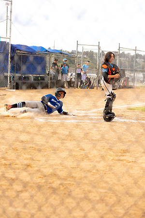 BlueJaysBaseball-21