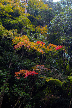 2026JapanTrip-359
