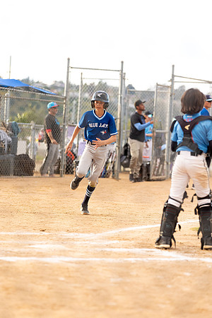 BlueJaysBaseball-10
