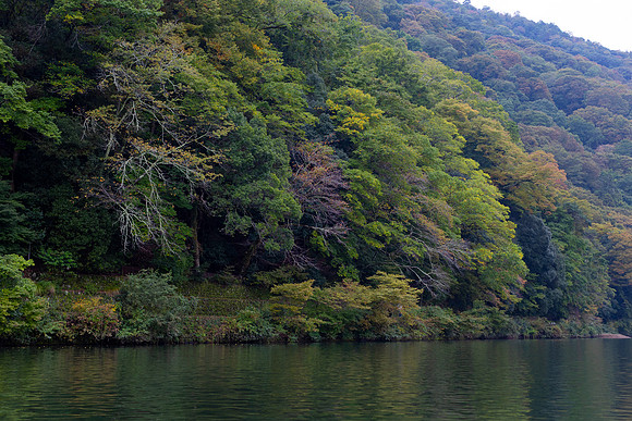 2026JapanTrip-323