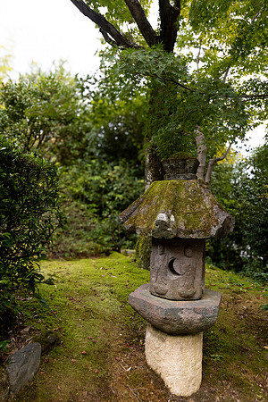 2026JapanTrip-242