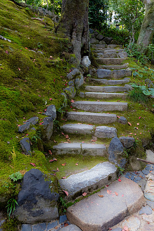 2026JapanTrip-243
