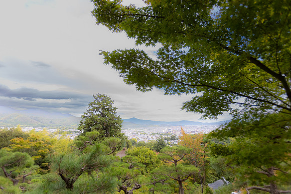 2026JapanTrip-237