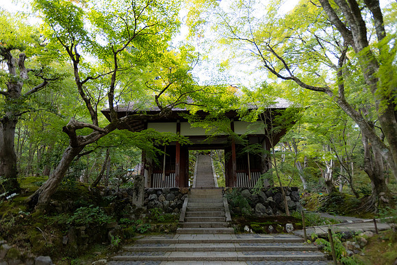2026JapanTrip-226