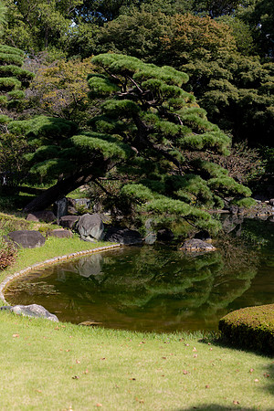 2026JapanTrip-115