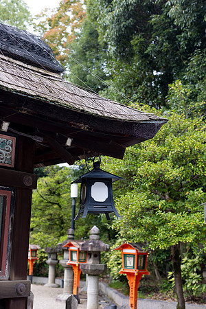 2026JapanTrip-304